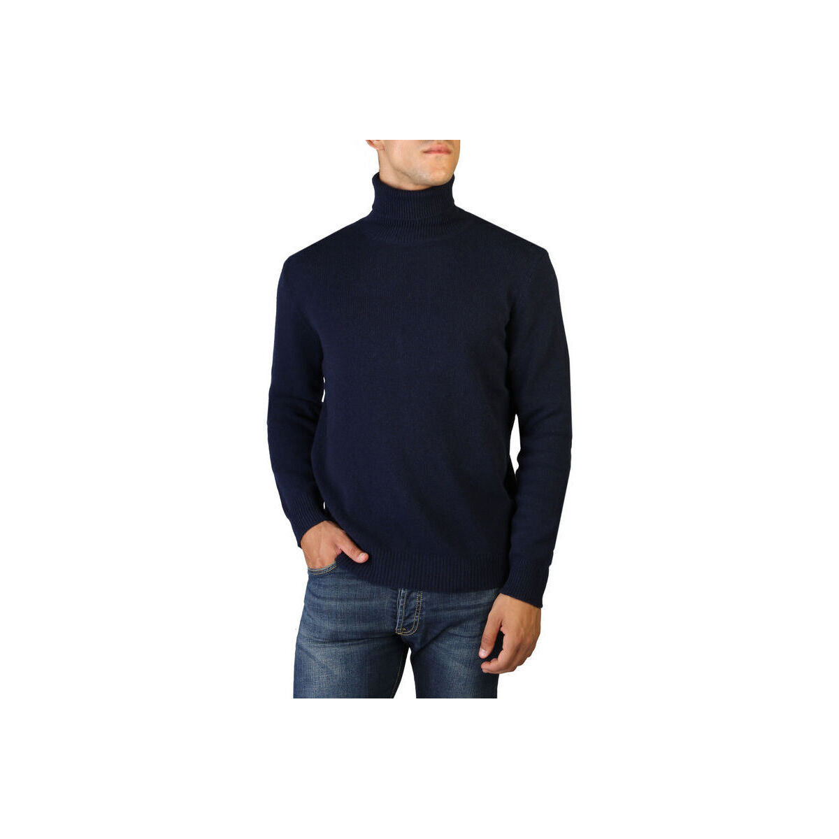 Abbigliamento Uomo Maglioni 100% Cashmere Jersey roll neck Blu