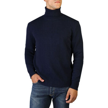 Abbigliamento Uomo Maglioni 100% Cashmere Jersey roll neck Blu