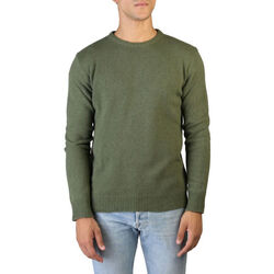 Abbigliamento Uomo Maglioni 100% Cashmere Jersey Verde