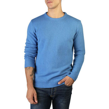 Abbigliamento Uomo Maglioni 100% Cashmere Jersey Blu