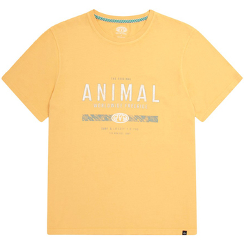 Abbigliamento Uomo T-shirts a maniche lunghe Animal  Multicolore