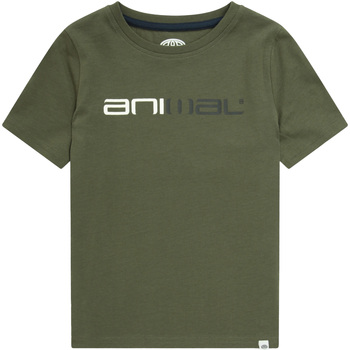 Abbigliamento Unisex bambino T-shirt maniche corte Animal  Verde