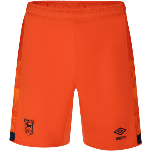 Abbigliamento Uomo Shorts / Bermuda Umbro 23/24 Arancio