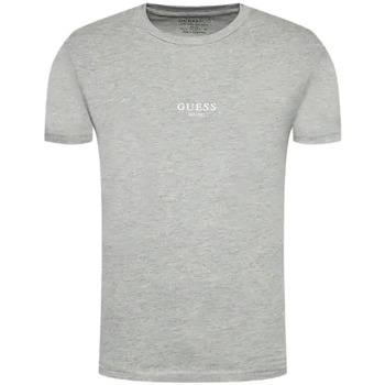 Abbigliamento Uomo T-shirt maniche corte Guess Essential Grigio