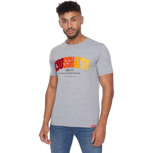 Abbigliamento Uomo T-shirts a maniche lunghe Crosshatch Flocked Grigio