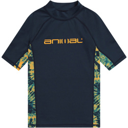 Abbigliamento Unisex bambino T-shirt maniche corte Animal Kai Blu