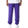 Abbigliamento Uomo Pantaloni da tuta New-Era NBA Joggers Lakers Viola