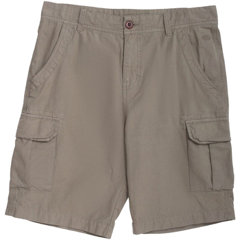 Abbigliamento Uomo Shorts / Bermuda Animal  Verde