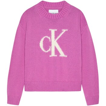 Abbigliamento Bambina Maglioni Calvin Klein Jeans IG0IG02220 Viola