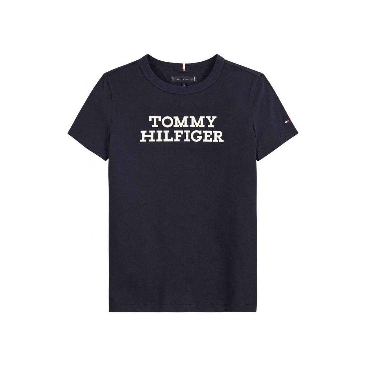 Abbigliamento Unisex bambino T-shirt & Polo Tommy Hilfiger KB0KB08555 LOGO TEE-DESERT SKY Blu
