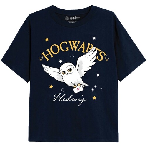 Abbigliamento Bambina T-shirts a maniche lunghe Harry Potter TV2200 Blu
