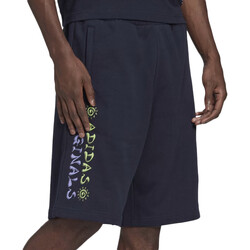 Abbigliamento Uomo Shorts / Bermuda adidas Originals HC7152 Blu