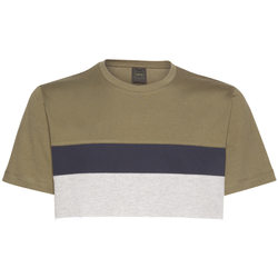 Abbigliamento Uomo T-shirt & Polo Geox M3510FT2870F0292 Verde