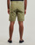 Abbigliamento Uomo Shorts / Bermuda Napapijri NAKURU 6 Kaki
