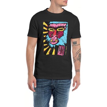 Abbigliamento Uomo T-shirt maniche corte Replay  Multicolore