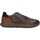 Scarpe Uomo Sneakers basse IgI&CO 4640722 Marrone