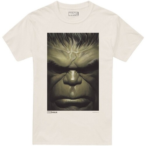 Abbigliamento Uomo T-shirts a maniche lunghe Hulk  Beige