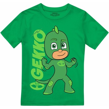 Abbigliamento Bambino T-shirts a maniche lunghe Pj Masks TV2255 Verde