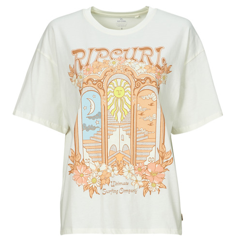 Abbigliamento Donna T-shirt maniche corte Rip Curl TROPICAL TOUR HERTIAGE TEE Beige