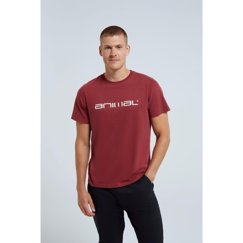 Abbigliamento Uomo T-shirts a maniche lunghe Animal Classico Multicolore