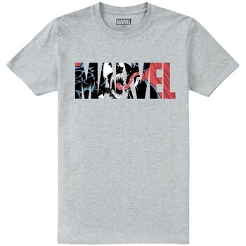 Abbigliamento Uomo T-shirts a maniche lunghe Venom TV2293 Grigio