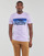 Abbigliamento Uomo T-shirt maniche corte Superdry CALI STRIPED LOGO T SHIRT Viola