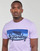 Abbigliamento Uomo T-shirt maniche corte Superdry CALI STRIPED LOGO T SHIRT Viola