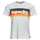 Abbigliamento Uomo T-shirt maniche corte Superdry CALI STRIPED LOGO T SHIRT Bianco