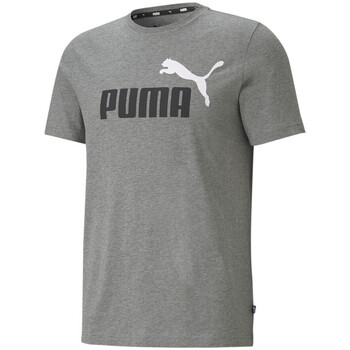 Abbigliamento Uomo T-shirt & Polo Puma 586759-03 Grigio