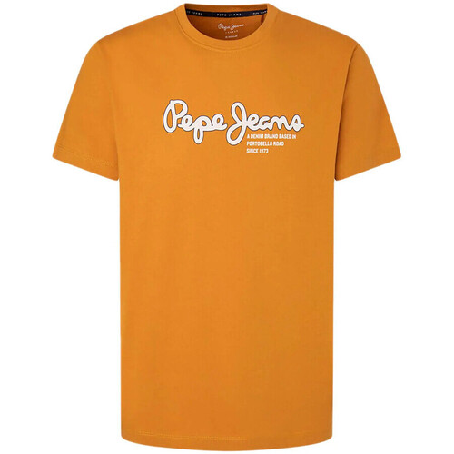 Abbigliamento Uomo T-shirt & Polo Pepe jeans PM509126 Arancio
