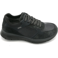 Scarpe Uomo Sneakers IgI&CO 4616122 Altri