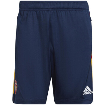 Abbigliamento Uomo Shorts / Bermuda adidas Originals H57460 Blu