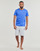 Abbigliamento Uomo Shorts / Bermuda Tommy Hilfiger SHORT HWK Grigio