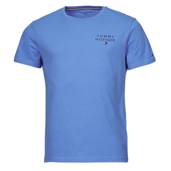 Abbigliamento Uomo T-shirt maniche corte Tommy Hilfiger CN SS TEE LOGO Blu