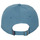 Accessori Uomo Cappellini Patagonia P-6 LABEL TRAD CAP Blu