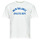 Abbigliamento Uomo T-shirt maniche corte New Balance ATHLETICS DEPT TEE Bianco