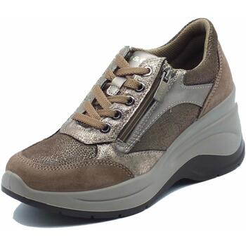 Scarpe Donna Sneakers IgI&CO 4656722 Scam Marrone