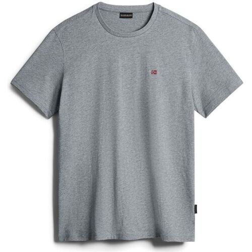 Abbigliamento Uomo T-shirt & Polo Napapijri SALIS SS SUM NP0A4H8D-160 NED GREY Grigio