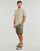 Abbigliamento Uomo Shorts / Bermuda Teddy Smith EROL SH Kaki
