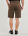 Abbigliamento Uomo Shorts / Bermuda Volcom FRCKN MDN STRCH SHT 21 Marrone