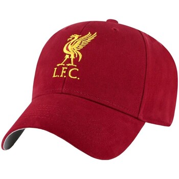 Accessori Cappellini Liverpool Fc  Multicolore