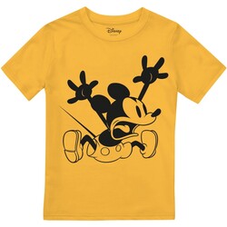 Abbigliamento Bambino T-shirts a maniche lunghe Disney Shock Multicolore