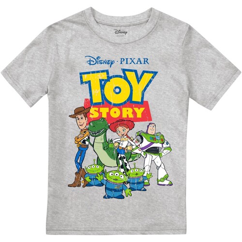 Abbigliamento Bambino T-shirts a maniche lunghe Toy Story TV2445 Grigio