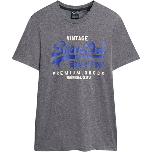 Abbigliamento Uomo T-shirt maniche corte Superdry 223333 Blu