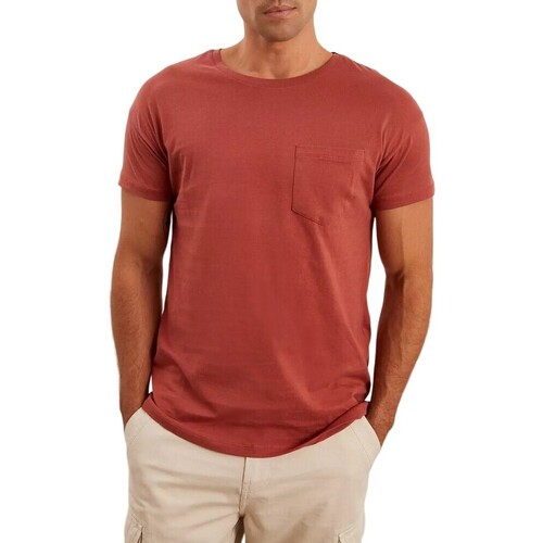 Abbigliamento Uomo T-shirts a maniche lunghe Maine DH6156 Arancio