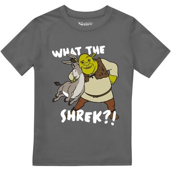 Abbigliamento Bambino T-shirts a maniche lunghe Shrek Best Buds Multicolore