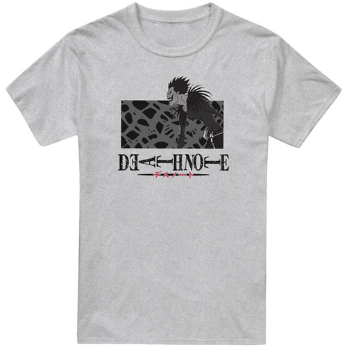 Abbigliamento Uomo T-shirts a maniche lunghe Death Note TV2378 Grigio