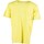 Abbigliamento Uomo T-shirt & Polo Russell Athletic Iconic S/S  Crewneck  Tee Shirt Giallo