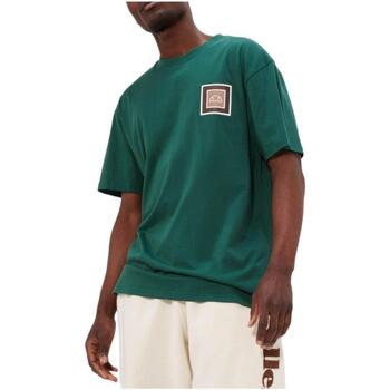 Abbigliamento Uomo T-shirt maniche corte Ellesse  Verde