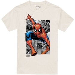 Abbigliamento Uomo T-shirts a maniche lunghe Marvel Rescue Beige